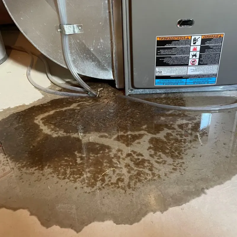 Pipe Burst and Leak Restoration in East Feliciana Parish, LA